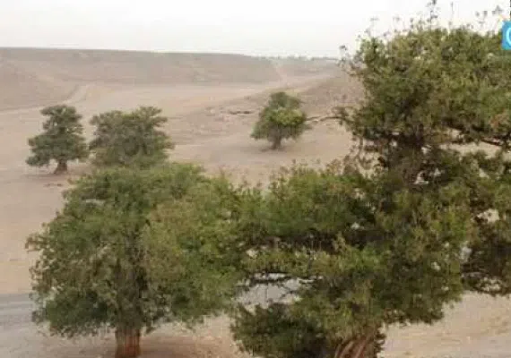 روستای گهوار گر