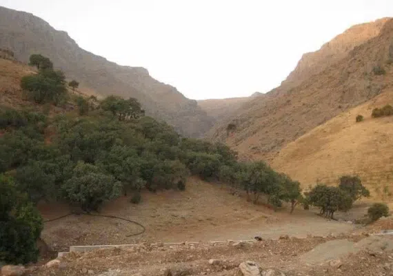 يخدان نمد مالها قوچان