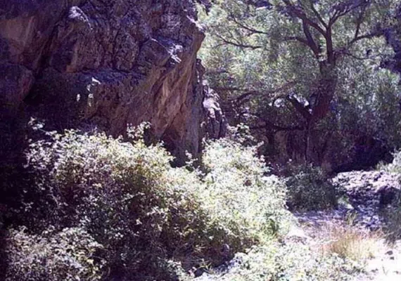 چشمه گرماب