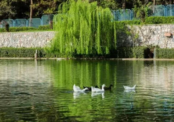 باغرود نیشابور