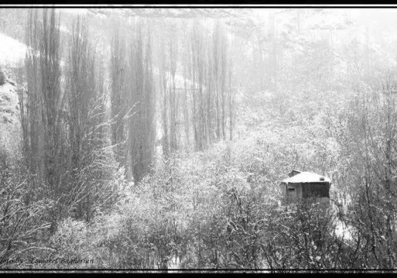 ییلاق طرقبه