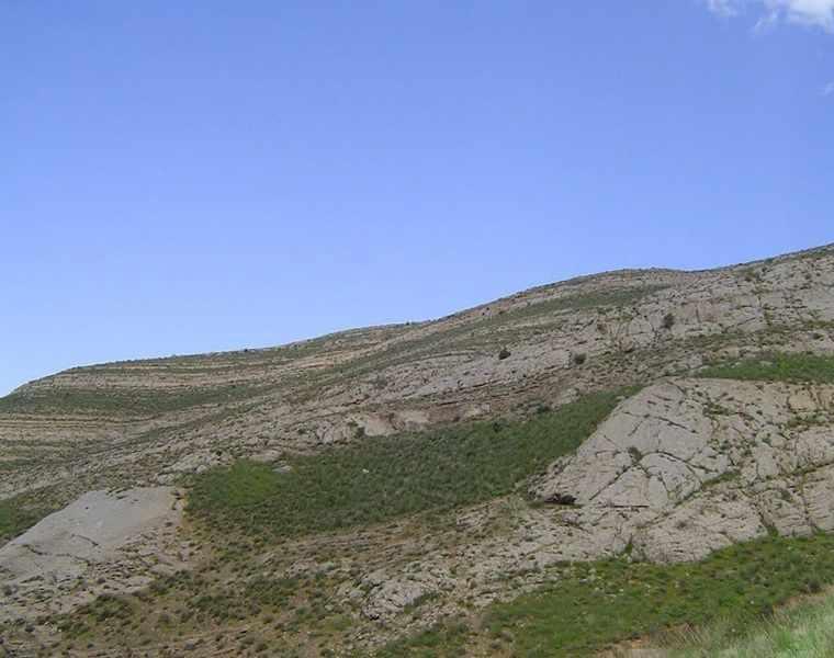 منطقه حفاظت شده حیدری