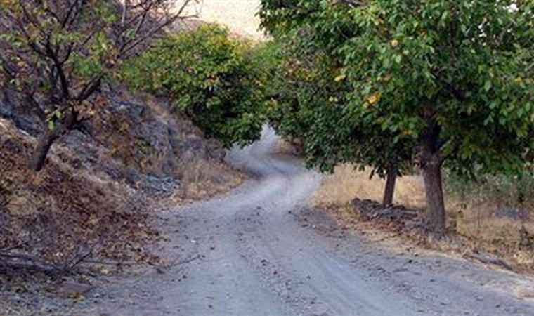 دره چناران