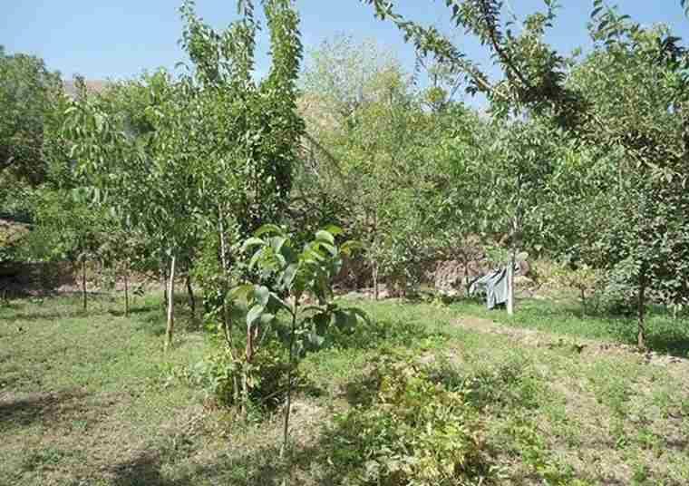 منطقه ييلاقي سنو