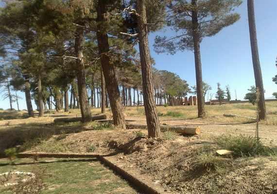 عمارت و باغ نشاط