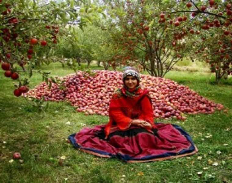روستای چهل حصار