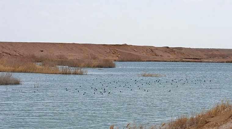 منطقه حفاظت شده سیرخون