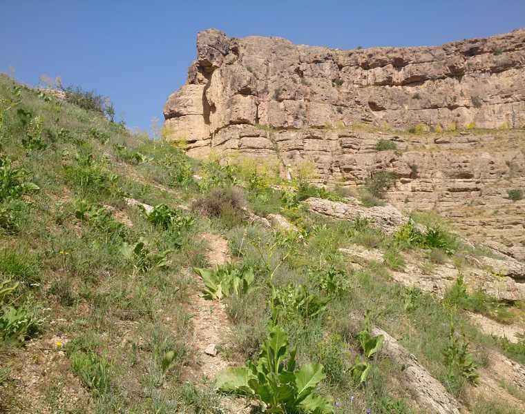 يخدان نمد مالها قوچان