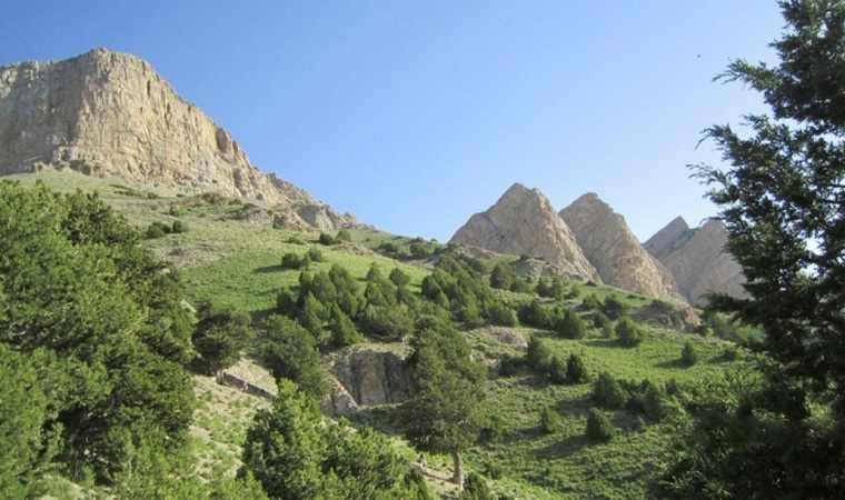 يخدان نمد مالها قوچان