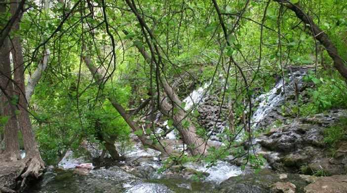 پارك چهلمیر درگز