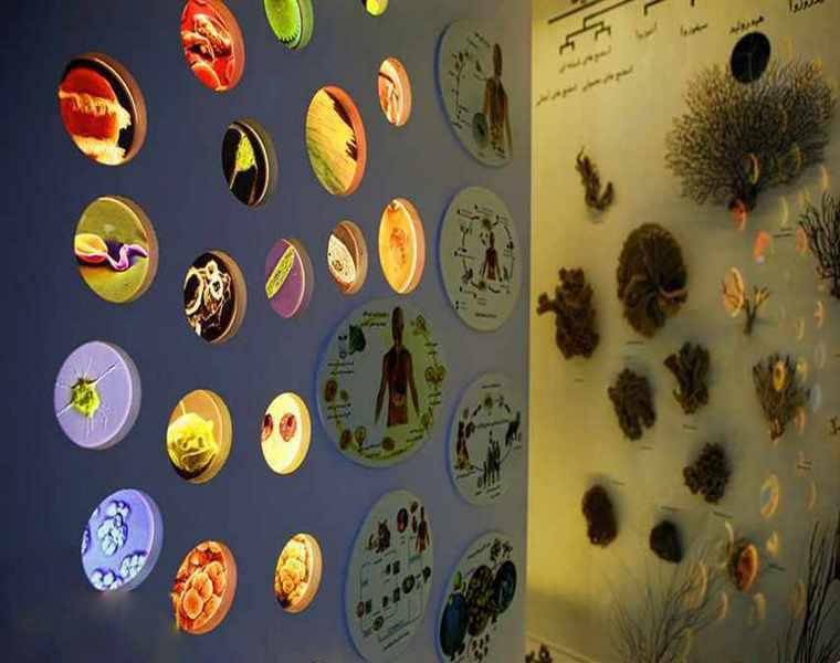 پارک علمی پروفسور بازیما