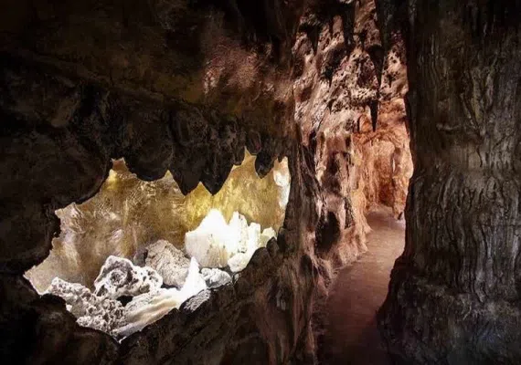 پارک علمی پروفسور بازیما