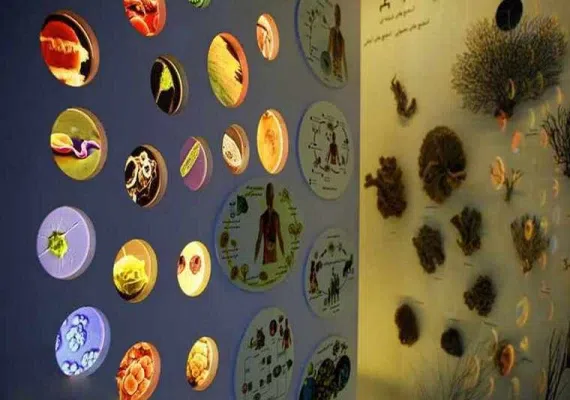 پارک علمی پروفسور بازیما