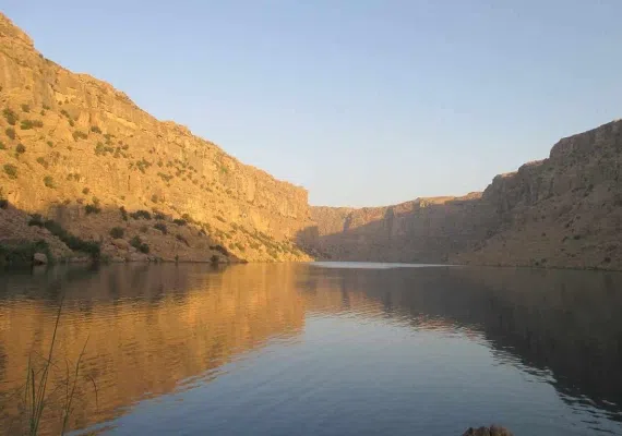 منطقه شکار ممنوع شو و لندر