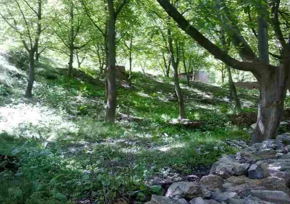 آبشار سد زاوین