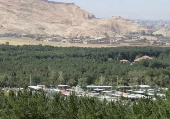 جنگل پردیسان قائم