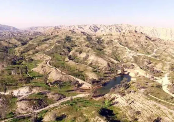 پارک جنگلی تمبی