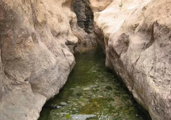 چشمه قلقل