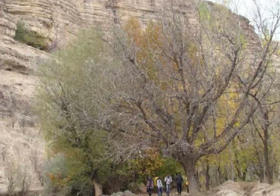 روستای خسرویه