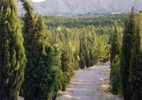 جنگل پردیسان قائم