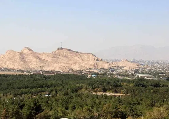 جنگل پردیسان قائم