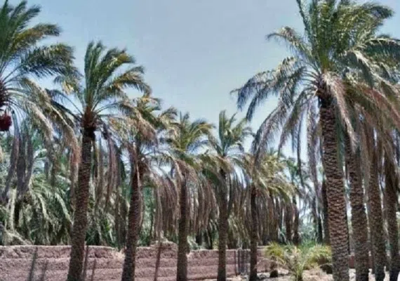 روستای بروات