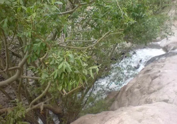 آبشار زر رود راین