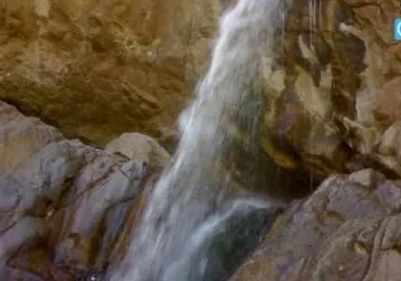 آبشار زر رود راین