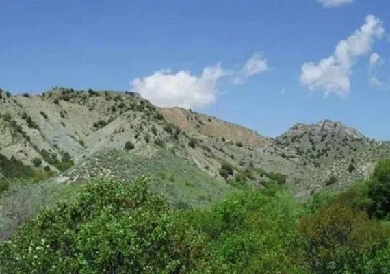 باغ دره