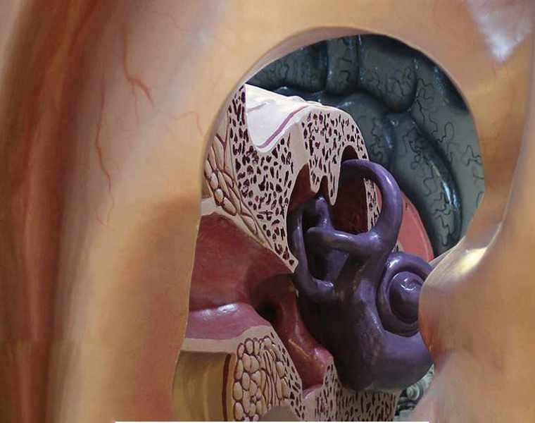 پارک علمی پروفسور بازیما