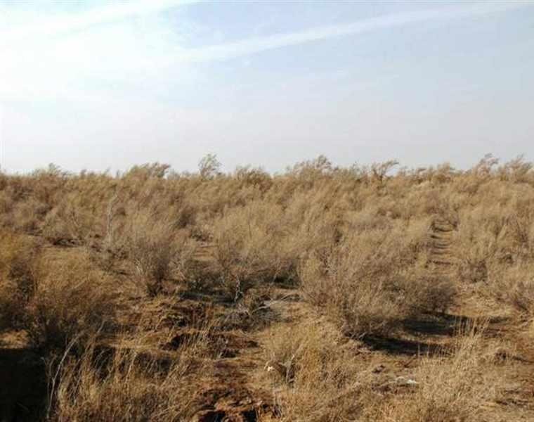 روستای خورزان