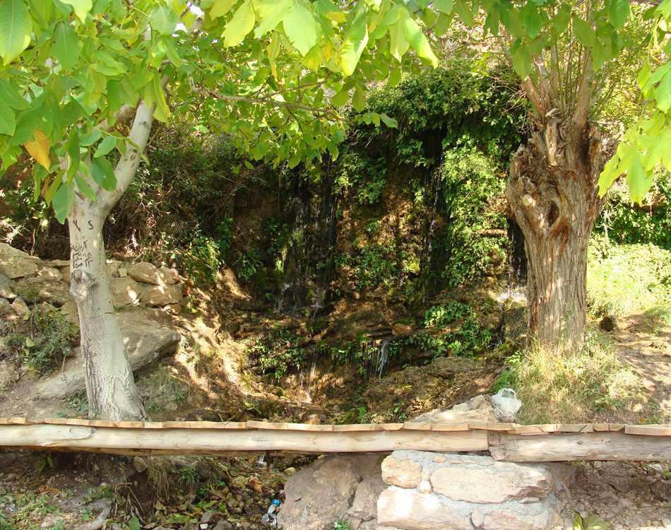 منطقه انگورستانی