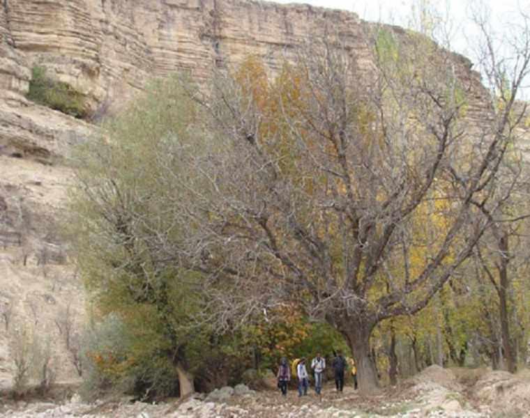 روستای خسرویه