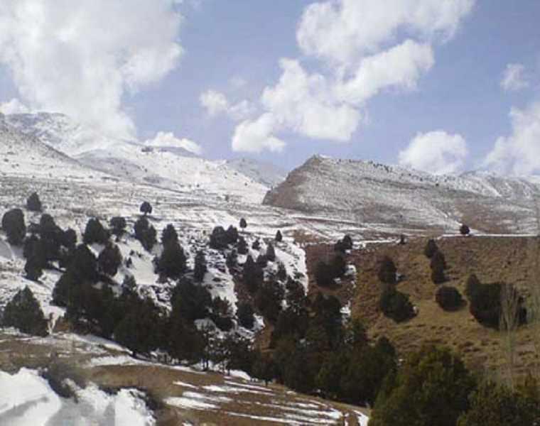 پارک ملی سالوک