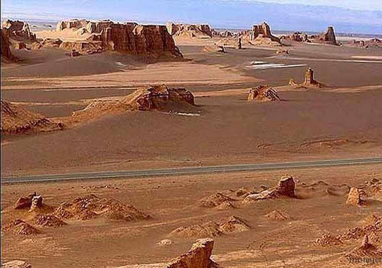 گندم بریان