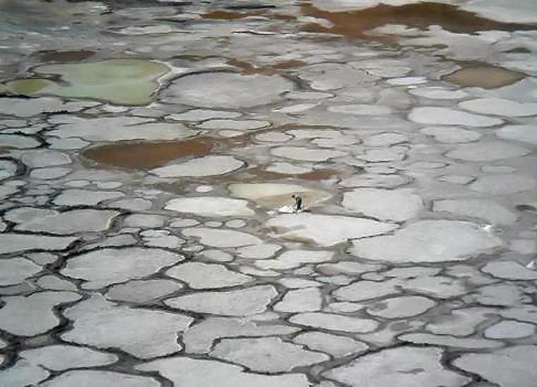 دهانه های آتشفشانی راین