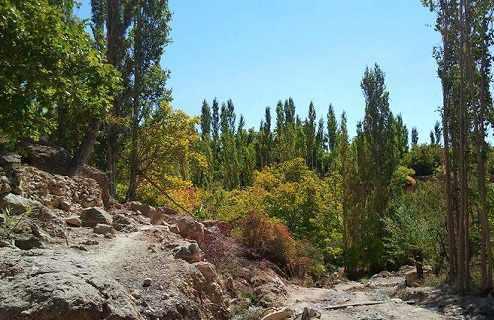 منطقه انگورستانی