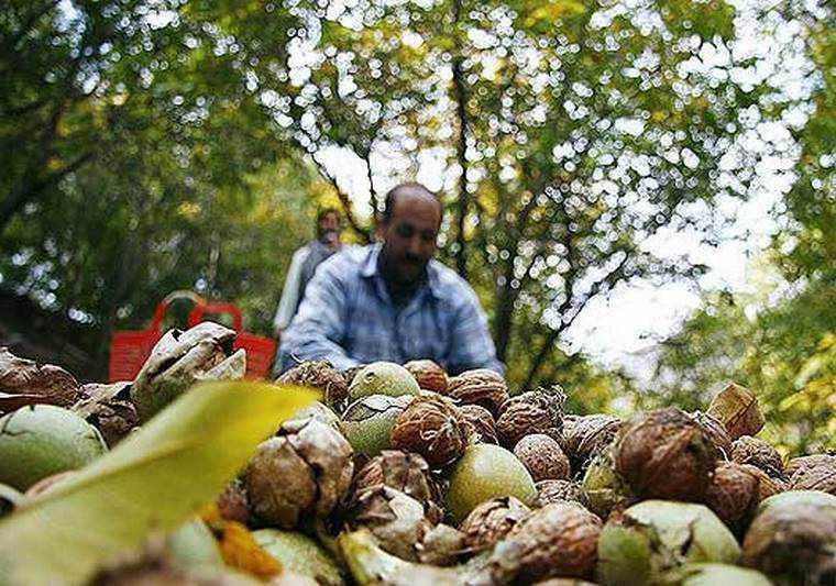 روستای فیروزه بجنورد کجاست