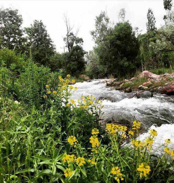 آبشار گیشیگان راین