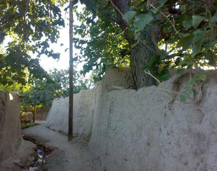 کوچه باغ های سمنان