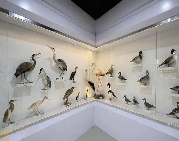 پارک علمی پروفسور بازیما