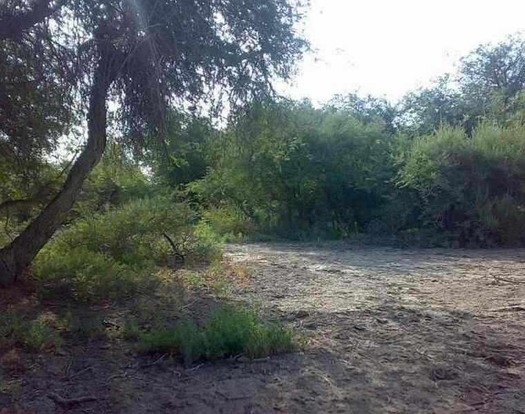 پناهگاه و حیات وحش مهروئیه