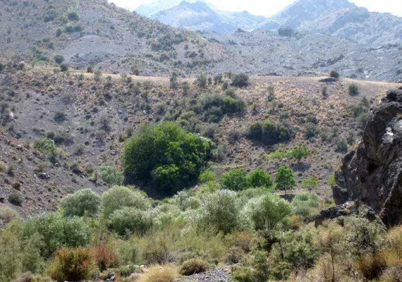 منطقه حفاظت شده سنگ مس