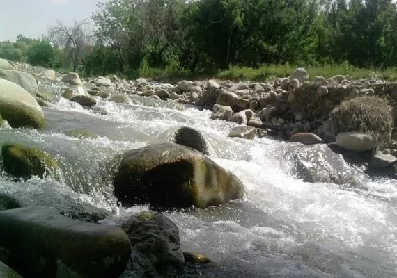 روستای زمین انجیر