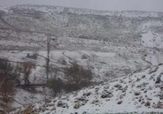 روستای زمین انجیر