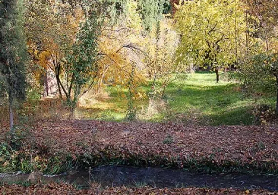 باغ شازده زرند