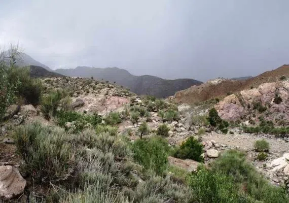 منطقه حفاظت شده سنگ مس