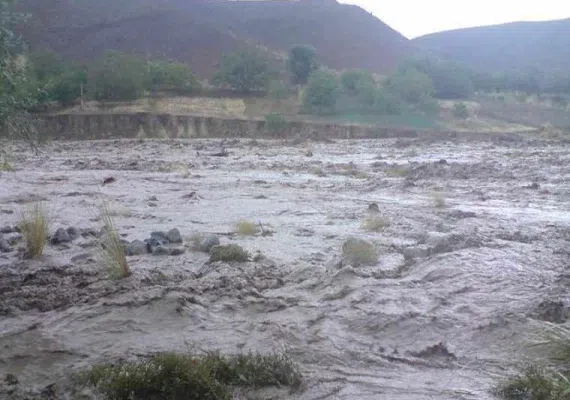 روستای زمین انجیر