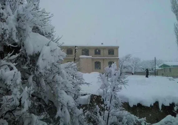 روستای ننیز علیا