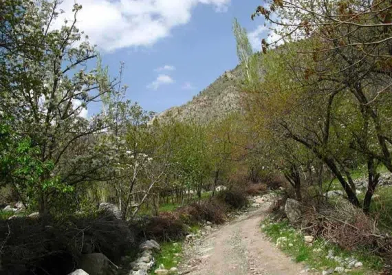 روستای مرغک